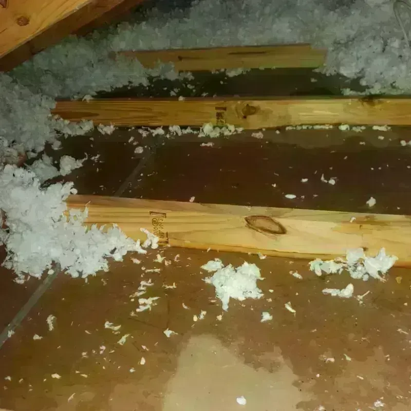 Attic Water Damage in Rapid City, SD