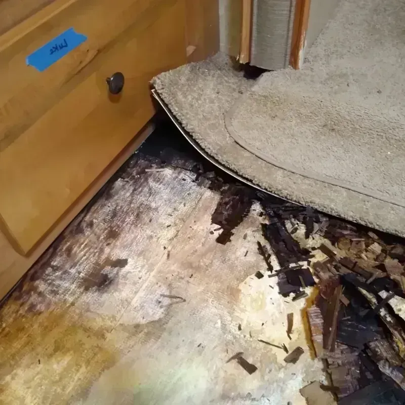 Best Wood Floor Water Damage Service in Rapid City, SD